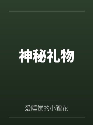 神秘礼物 神秘礼物