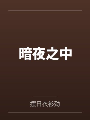 暗夜之中 暗夜之中