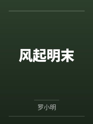 风起明末 风起明末