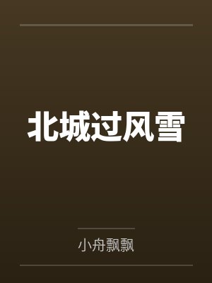 北城过风雪 北城过风雪