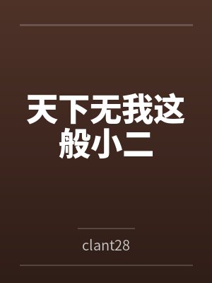 天下无我这般小二 天下无我这般小二