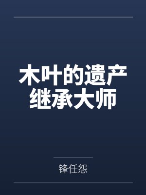 木叶的遗产继承大师