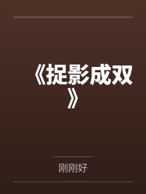 《捉影成双》 《捉影成双》