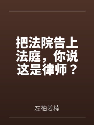 把法院告上法庭小说 把法院告上法庭小说
