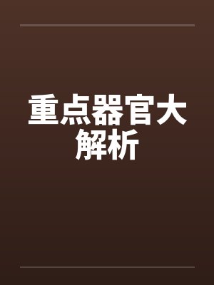 重点器官大解析 重点器官大解析