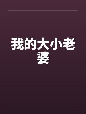 我的大小老婆 我的大小老婆