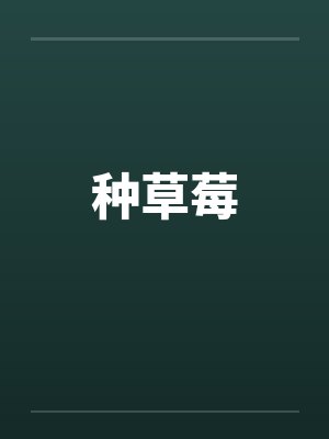 种草莓 种草莓