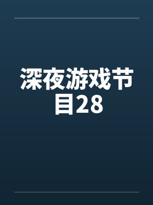 深夜游戏节目28 深夜游戏节目28