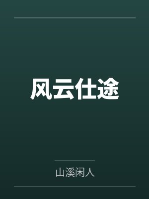 风云仕途 风云仕途