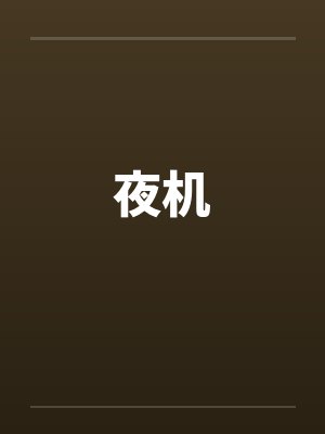 夜机 夜机