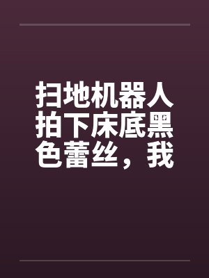 扫地机器人拍下床底黑色蕾丝,我反手送教授老公入狱 扫地机器人拍下床底黑色蕾丝,我反手送教授老公入狱