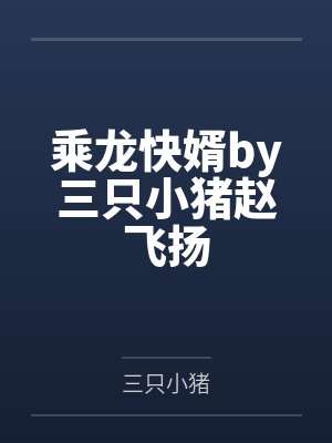 乘龙快婿by三只小猪赵飞扬