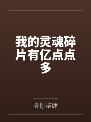 我的灵魂碎片有亿点点多 我的灵魂碎片有亿点点多