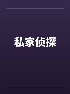私家侦探 私家侦探