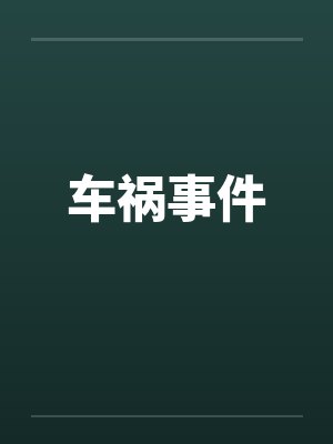 车祸事件 车祸事件