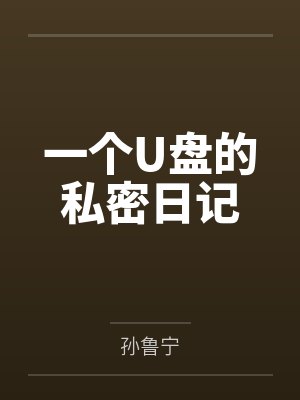 一个U盘的私密日记 一个U盘的私密日记
