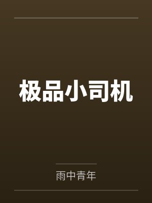 极品小司机