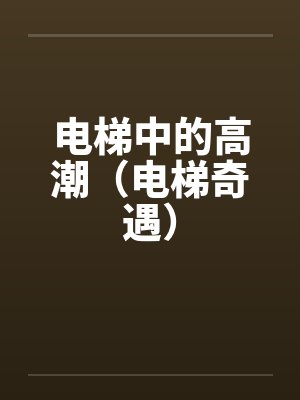 电梯中的高潮(电梯奇遇) 电梯中的高潮(电梯奇遇)