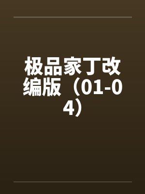 极品家丁改编版(01-04) 极品家丁改编版(01-04)