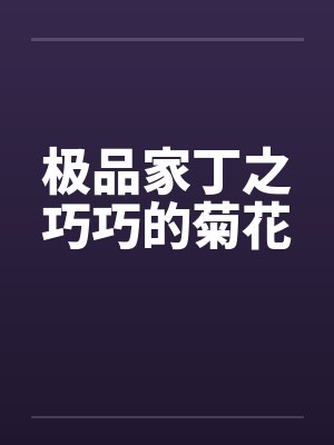 极品家丁之巧巧的菊花