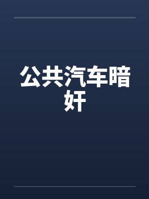 公共汽车暗奸 公共汽车暗奸