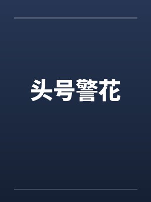头号警花 头号警花