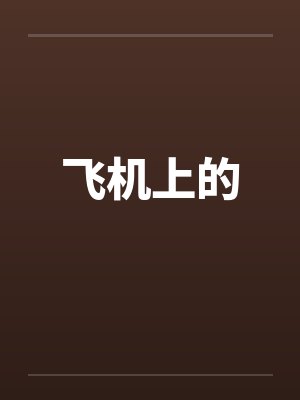 飞机上的 飞机上的