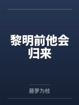 黎明前他会归来笔趣阁无弹窗