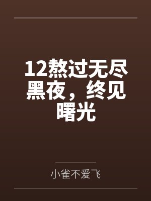 12熬过无尽黑夜,终见曙光 12熬过无尽黑夜,终见曙光