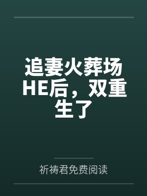 追妻火葬场HE后，双重生了by祈祷君免费阅读笔趣阁无弹窗