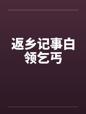 返乡记事白领乞丐 返乡记事白领乞丐