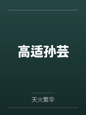 高适孙芸
