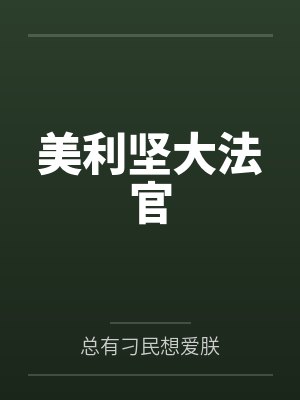 美利坚大法官 美利坚大法官