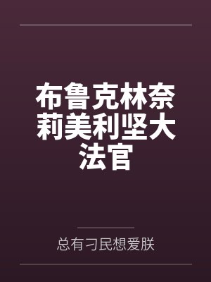 布鲁克林奈莉美利坚大法官