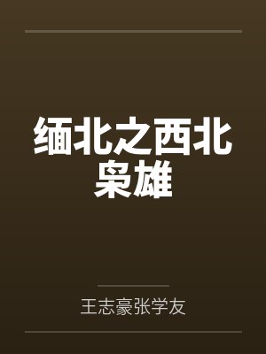缅北之西北枭雄 缅北之西北枭雄