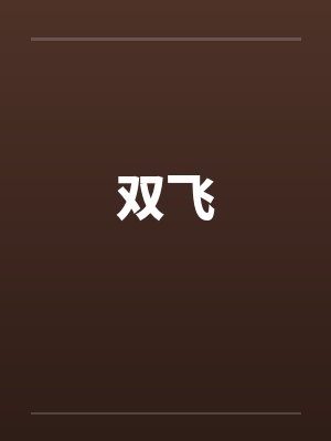 双飞 双飞