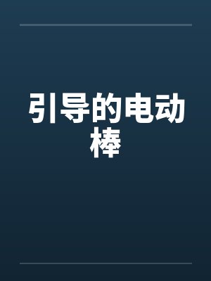 引导的电动棒