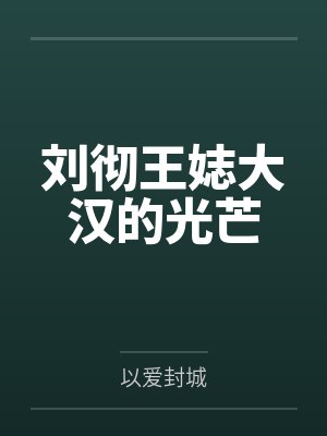 刘彻王娡大汉的光芒