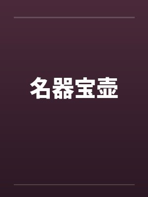 名器宝壶 名器宝壶