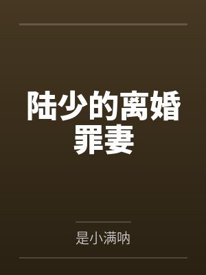 陆少的离婚罪妻
