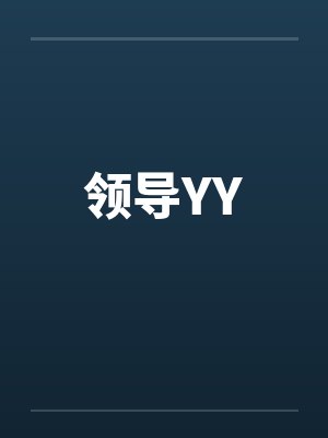 领导YY