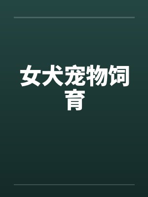 女犬宠物饲育 女犬宠物饲育