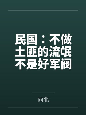 民国：不做土匪的流氓不是好军阀