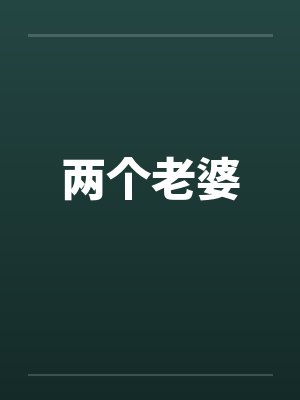 两个老婆 两个老婆