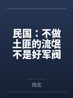民国：不做土匪的流氓不是好军阀by向北